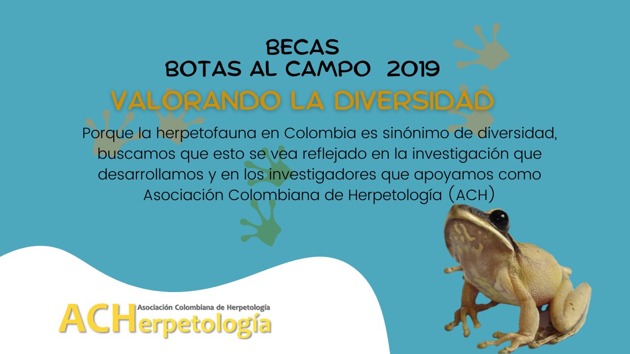 2019 - Valorando la diversidad - ACHerpetología